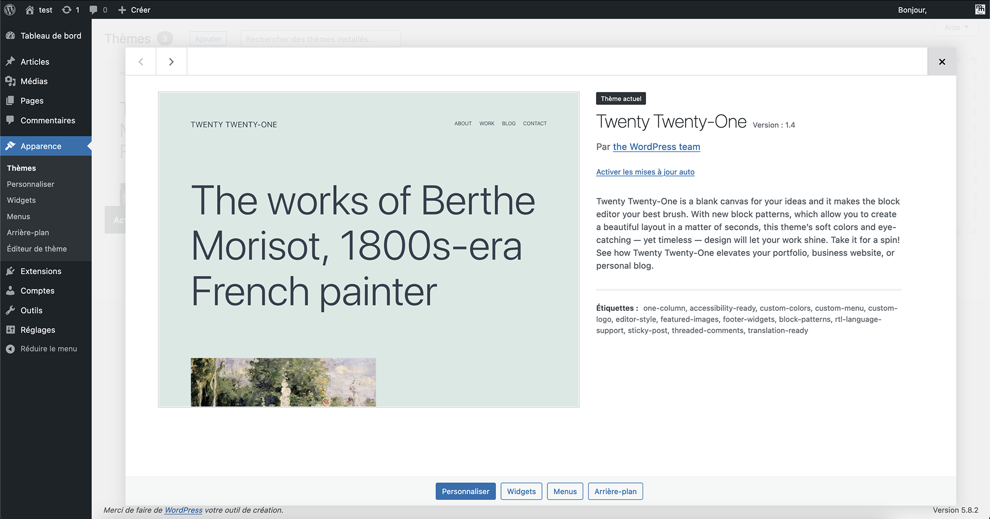 screenshot tableau de bord wordpress - apparence themes - Création de site web avec Wordpress - MtoM Création Montréal
