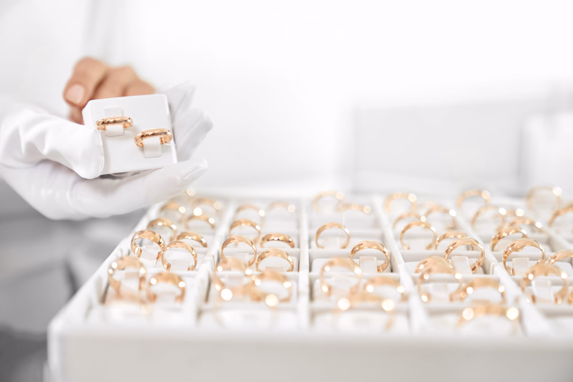 Création d'une plateforme e-learning pour une école spécialisée